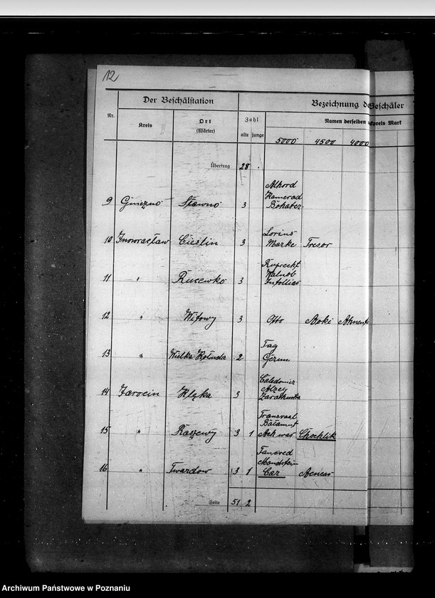 Obraz 16 z jednostki "Sprawy stadnin rozdział rządowych ogierów na stacjach"