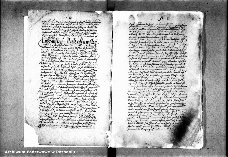 Obraz 11 z jednostki "Inscriptiones, relationes, decreta iudicii et officii [inducta]"