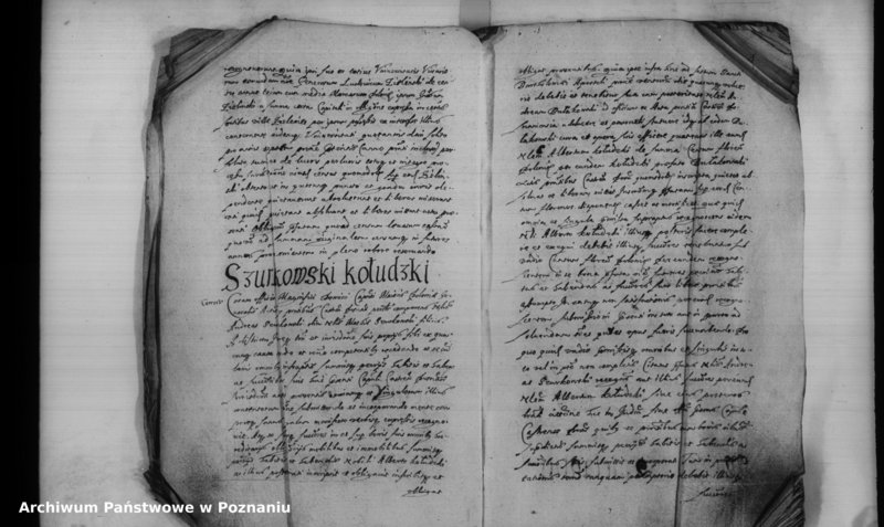 Obraz 9 z jednostki "Inscriptiones [inducta]"