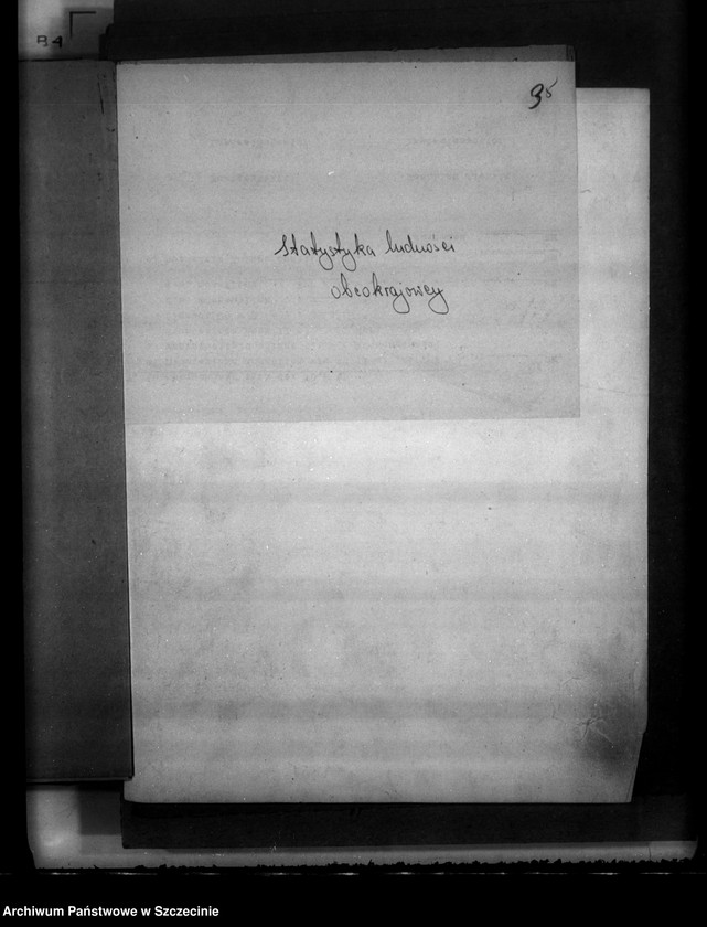 image.from.unit.number "Statystyka ruchu ludności w Szczecinie za rok 1946"