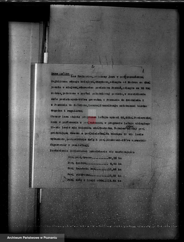 Obraz 5 z jednostki "Program urządzenia gospodarstwa leśnego lasu probostwa Modrzu powiat poznański"