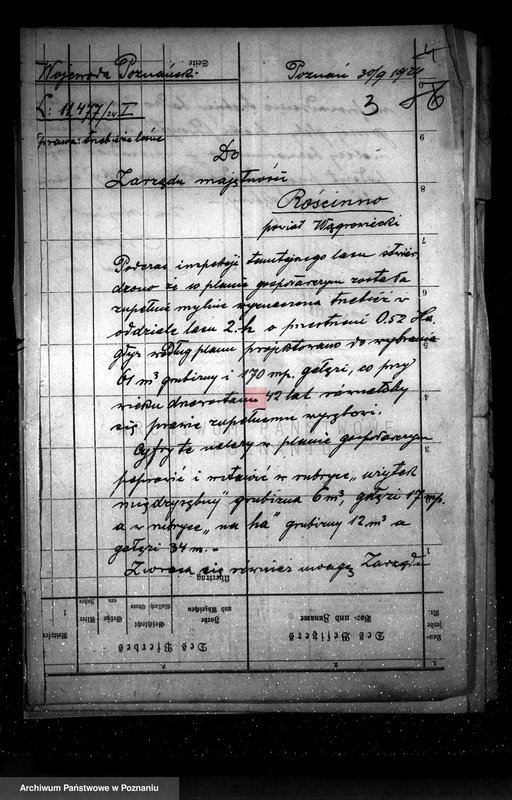 Obraz 7 z jednostki "Nadzór nad gospodarką w lasach majętności Rościnno powiat wągrowiecki"