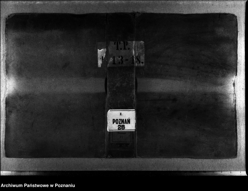 Obraz 3 z jednostki "Inscriptiones, relationes, decreta [inducta]"