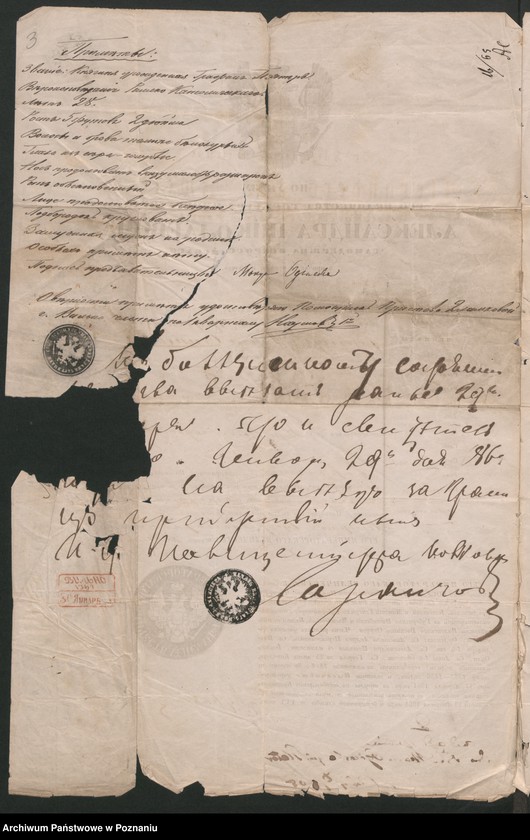 Obraz 6 z jednostki "A. betr. Viktor von Oginski und seine Gemahlin Maria geboren Gräfin Plater"