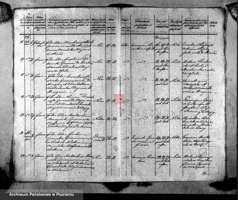 Obraz 4 z jednostki "Liber copulatorum"