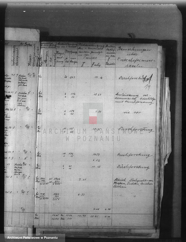 Obraz 19 z jednostki "Majętność /leśna/ Sobótka powiat ostrowski"