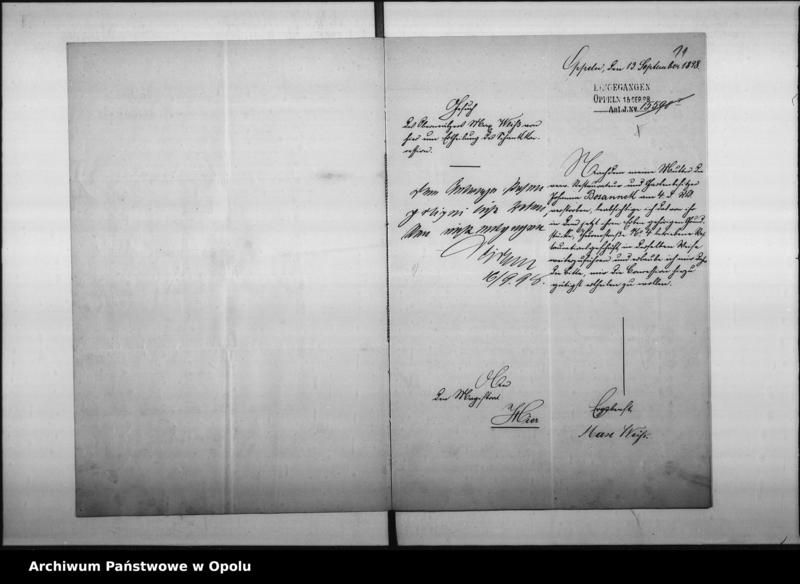 Obraz 13 z jednostki "Acta des Magistrats zu Oppeln betreffend den Schankwirthschaftsbetrieb im Hause No 8 Wilhelmstal durch Bosannek Vol: I"