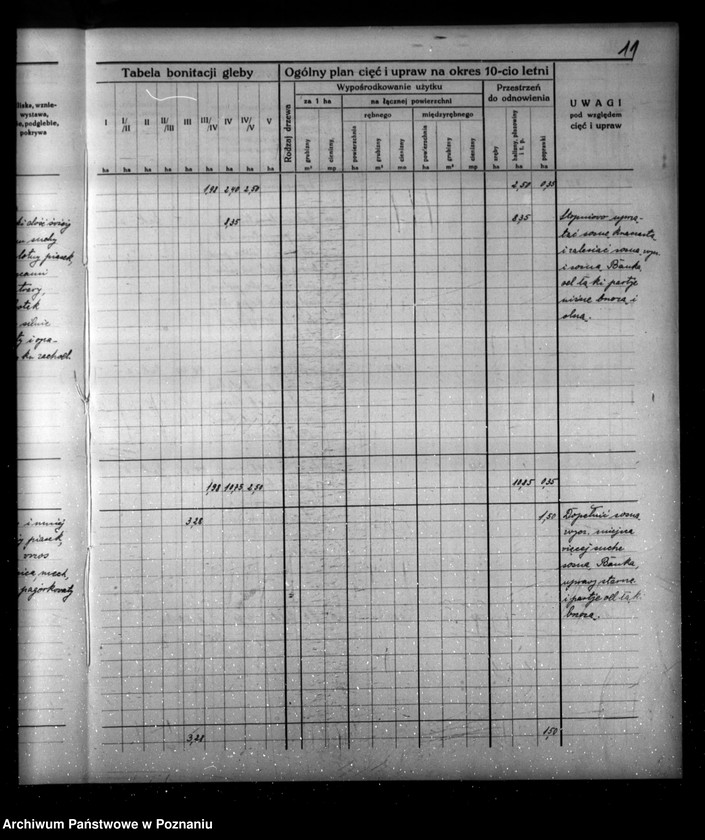 Obraz 15 z jednostki "Program urządzenia gospodarstwa leśnego dla lasu majątku Borowy-Młyn w powiecie międzychodzkim/"