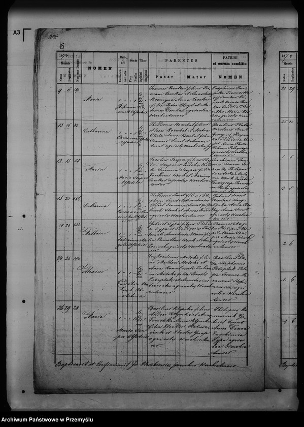 Obraz 19 z jednostki "[Kopie ksiąg metrykalnych parafii Werchrata z filią Prusie (dekanat Rawa Ruska)]"