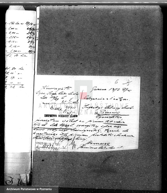 Obraz 10 z jednostki "Nadzór nad gospodarką w lasach majątku Czerniejewo powiecie gnieźnieńskim"