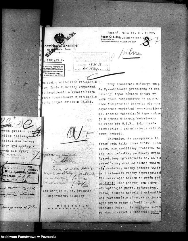 Obraz 12 z jednostki "Wywóz koni"