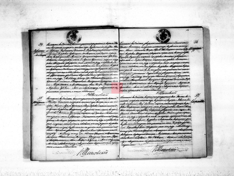 image.from.unit.number "Duplikat aktov rodivšichsja, umeršich i brakosočetavšichsja vejsejskogo rimsko-katoličeskogo prichoda na 1876 god"