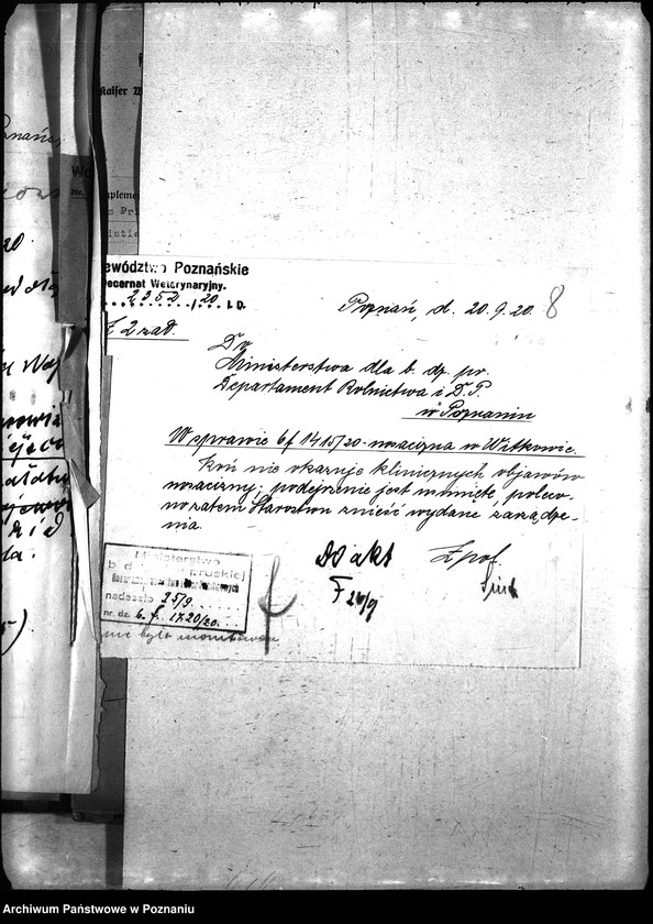 Obraz 11 z jednostki "Nosacizna - Witkowo"