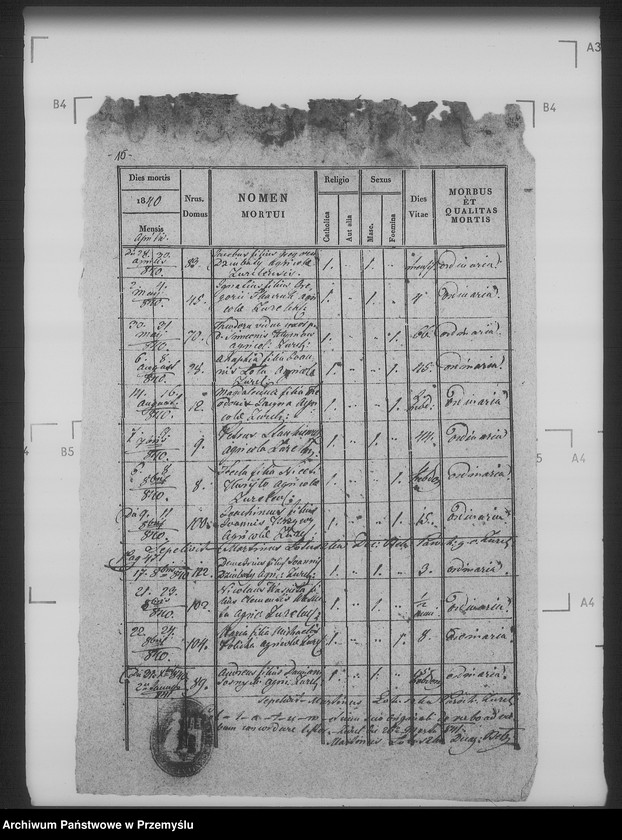 Obraz 19 z jednostki "[Kopie ksiąg metrykalnych parafii Żużel z filią Cebłów (dekanat Bełz)]"