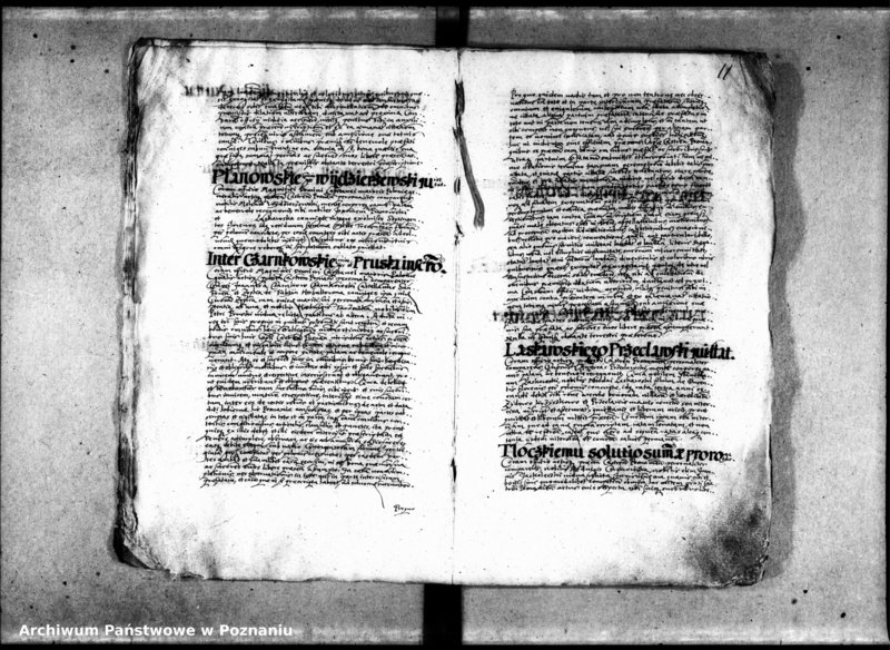 Obraz 14 z jednostki "Inscriptiones [inducta]"