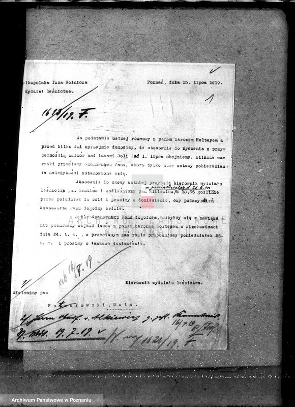 Obraz 5 z jednostki "Majętność leśna Gola w powiecie gostyńskim"