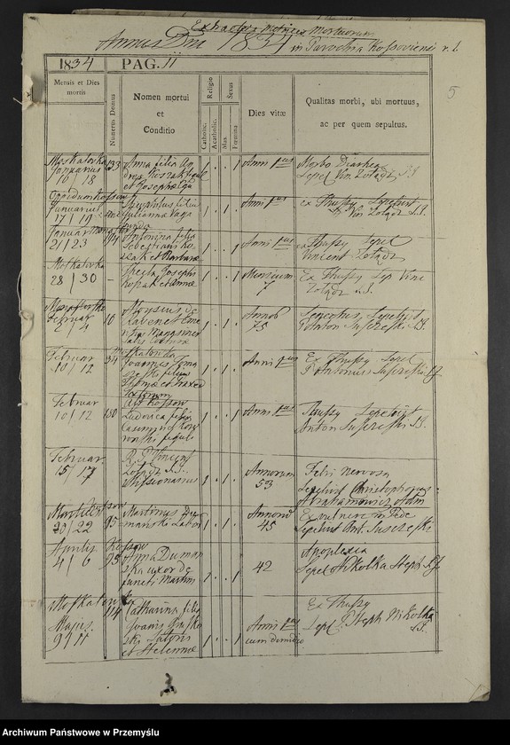 image.from.unit.number "[Odpisy ksiąg urodzeń, małżeństw, zgonów parafii rzymskokatolickich Kosów i Kuty z 1834 roku]"