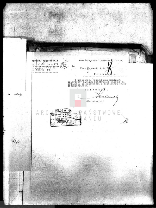 Obraz 16 z jednostki "Poddzierżawy majątku państwowego Pałczyn"