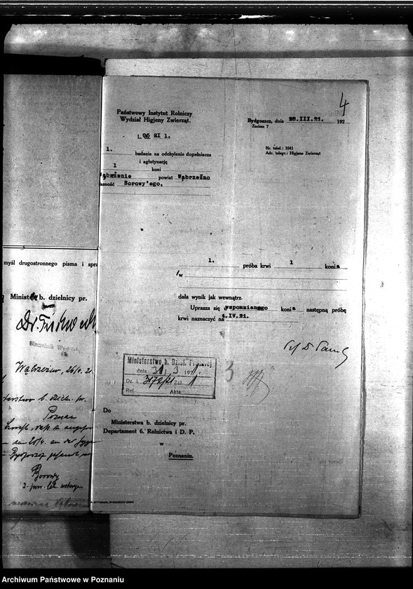 Obraz 8 z jednostki "Nosacizna - Wąbrzeźno"