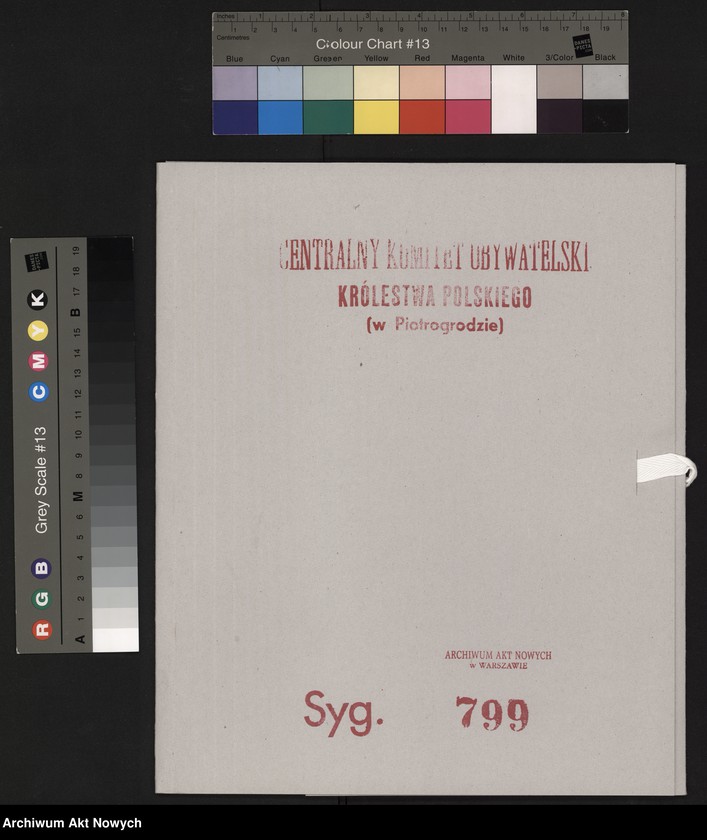 image.from.unit.number "Mińsk. Wyciągi z ksiąg zmarłych w roku 1915 nr. 313 - 392. III."