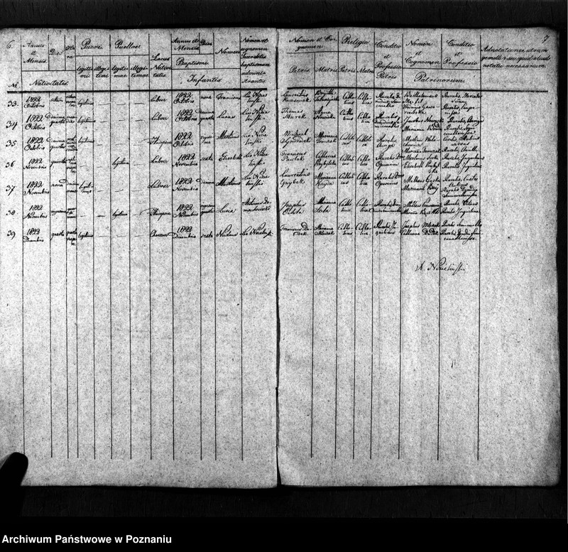 image.from.unit.number "Duplicat baptisatorum, copulatorum, mortuorum"