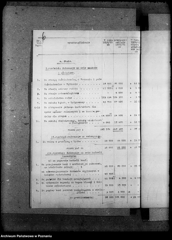 Obraz 10 z jednostki "Budżet Wielkopolskiej Izby Rolniczej na rok 1921"