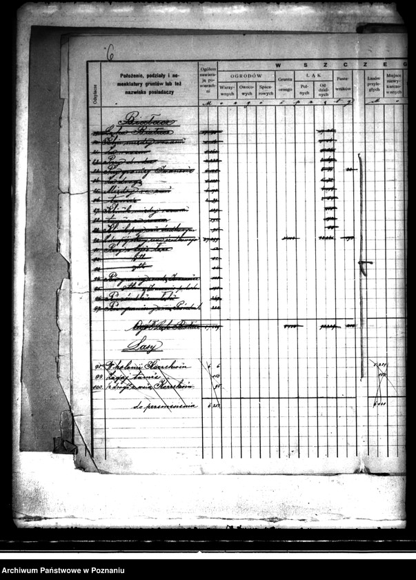 Obraz 10 z jednostki "/Rejestr pomiarowy dóbr Szczytniki powiat kaliski"