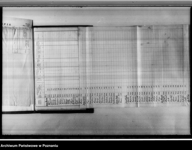 Obraz 16 z jednostki "Akta sprawy zalesienia nieużytków w powiecie konińskim"