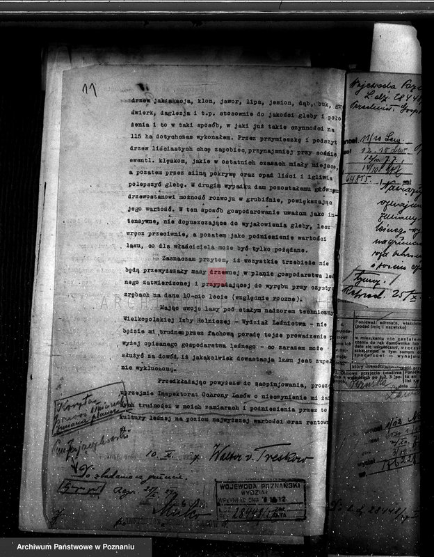 Obraz 15 z jednostki "Nadzór nad gospodarką w lasach majętności Owińska powiat poznański"