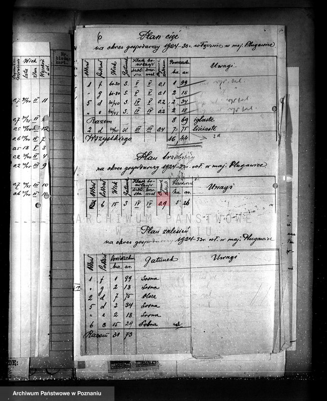 Obraz 10 z jednostki "Nadzór nad gospodarką w lasach majętności Plugawice powiat kępiński"