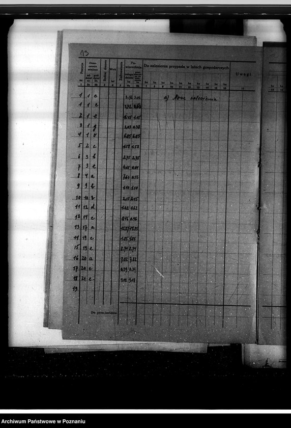 Obraz 17 z jednostki "Program urządzenia gospodarstwa leśnego lasu majętności Owińska powiat poznański"
