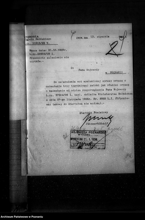 Obraz 8 z jednostki "Zalesienie nieużytków w powiecie żnińskim"