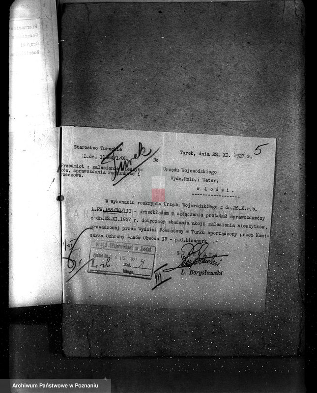 Obraz 9 z jednostki "Zalesienie nieużytków powiatu tureckiego"