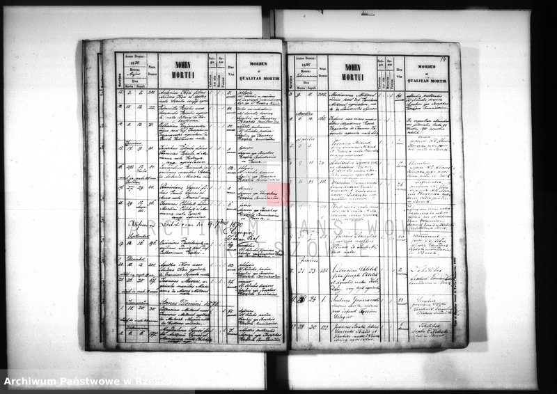 image.from.unit.number "Księga zgonów - Borek Nowy"