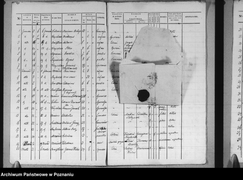 image.from.unit.number "Liber mortuorum"