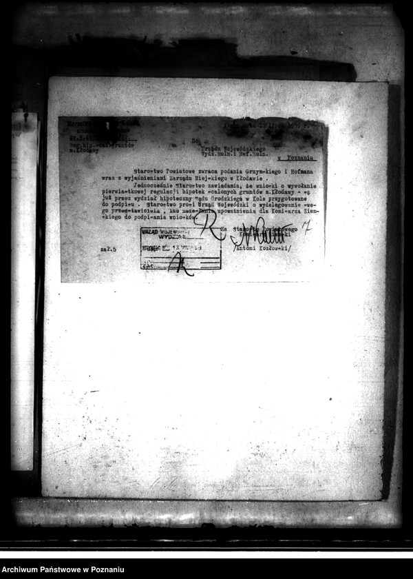 Obraz 11 z jednostki "Regulacja hipoteczna scalonych gruntów miasta Kłodawa powiatu kaliskiego"