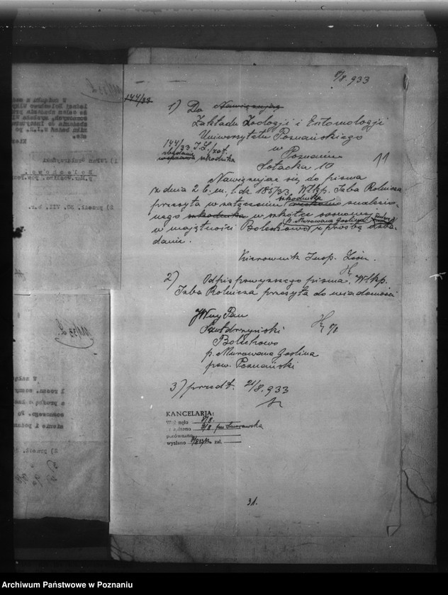 Obraz 15 z jednostki "Bolechowo powiat poznański /nadzór nad gospodarką leśną/"