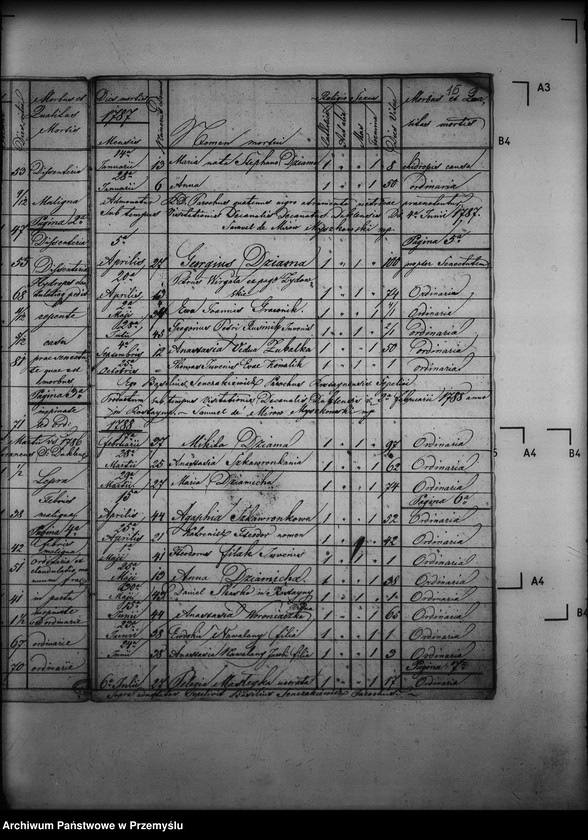 image.from.unit.number "[Kopie ksiąg metrykalnych parafii Rostajne z filiami Świątkówka i Żydowskie (dekanat Dukla)]"