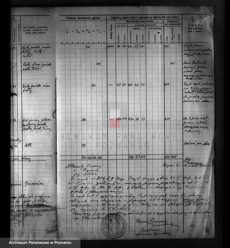 Obraz 8 z jednostki "Program urządzenia gospodarstwa leśnego dla lasu w gminie Pruszewice własność Adolf Siewert powiat poznański 1929-1939"