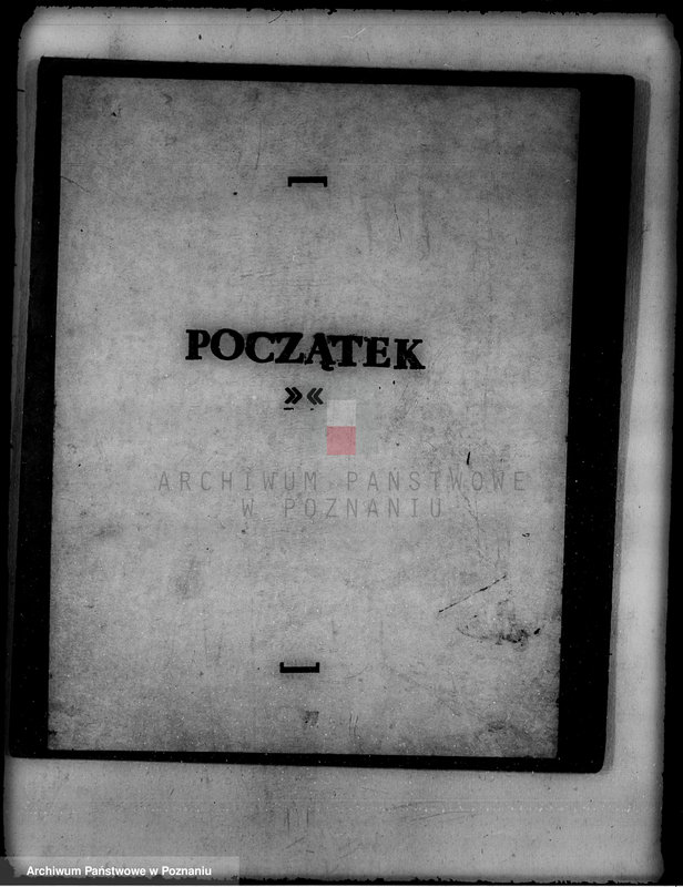 Obraz 3 z jednostki "/Las miasta Kalisza nadzór nad gospodarką/"