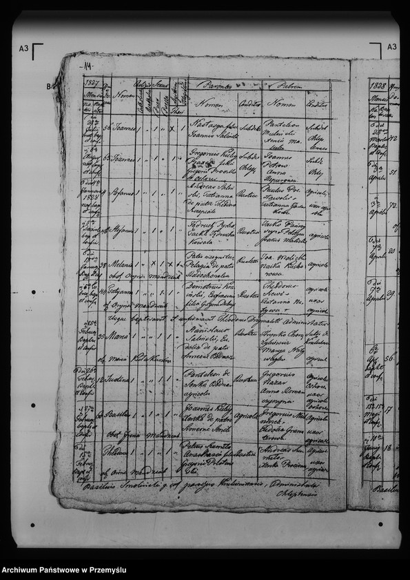 Obraz 19 z jednostki "[Kopie ksiąg metrykalnych parafii Chliple z filią Sadkowice (dekanat Mościska)]"