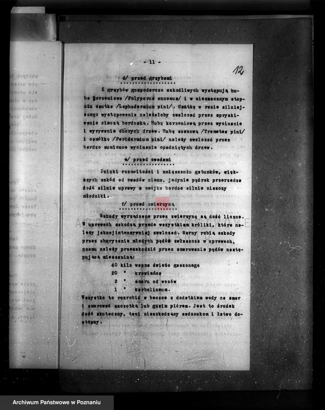 Obraz 16 z jednostki "Plan urządzania gospodarstwa leśnego majętności Borówkowo-Stare powiat. kościański"