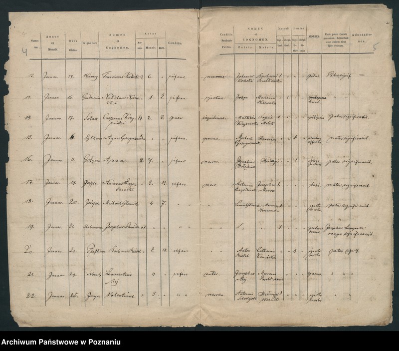 Obraz 5 z jednostki "Księga zgonów"