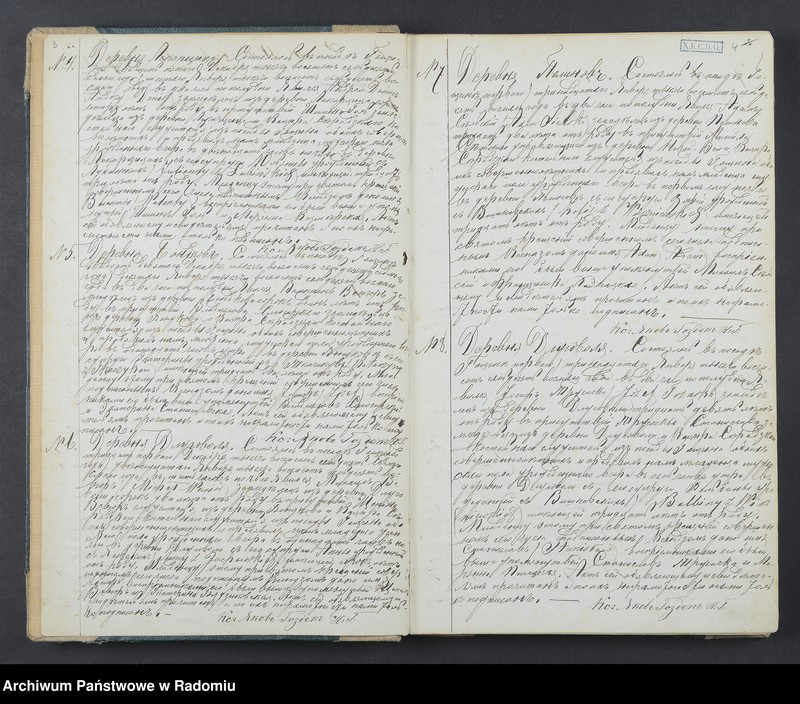 Obraz z jednostki "[Duplikat akt urodzonych, zaślubionych i zmarłych parafii Goszczyn za 1878]"