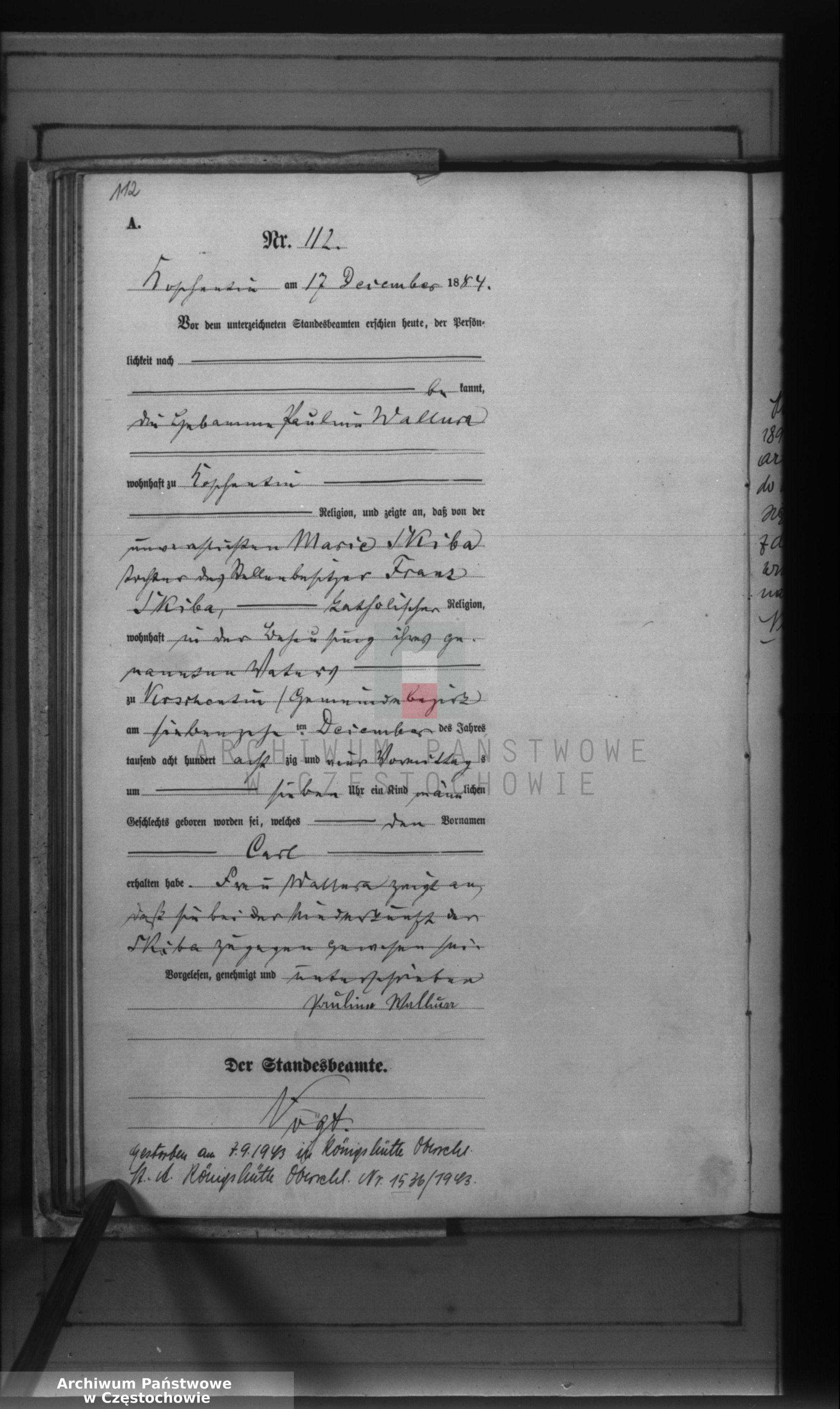 Skan z jednostki: [Pierwopis aktów urodzeń z 1884 roku].