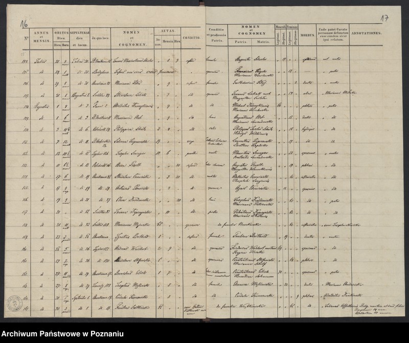 Obraz 11 z jednostki "Indeks zgonów"