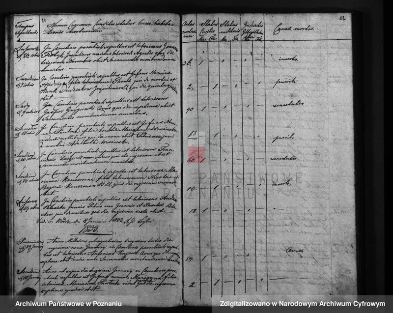 Obraz 14 z jednostki "Liber mortuorum"