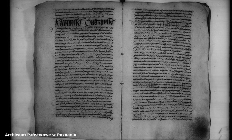 Obraz 11 z jednostki "Inscriptiones [inducta]"