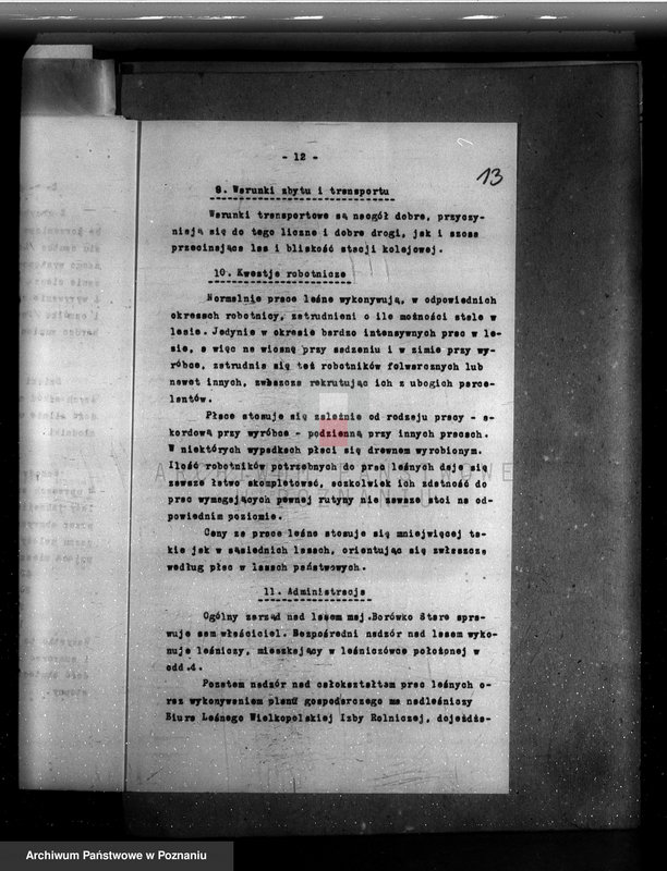 Obraz 17 z jednostki "Plan urządzania gospodarstwa leśnego majętności Borówkowo-Stare powiat. kościański"
