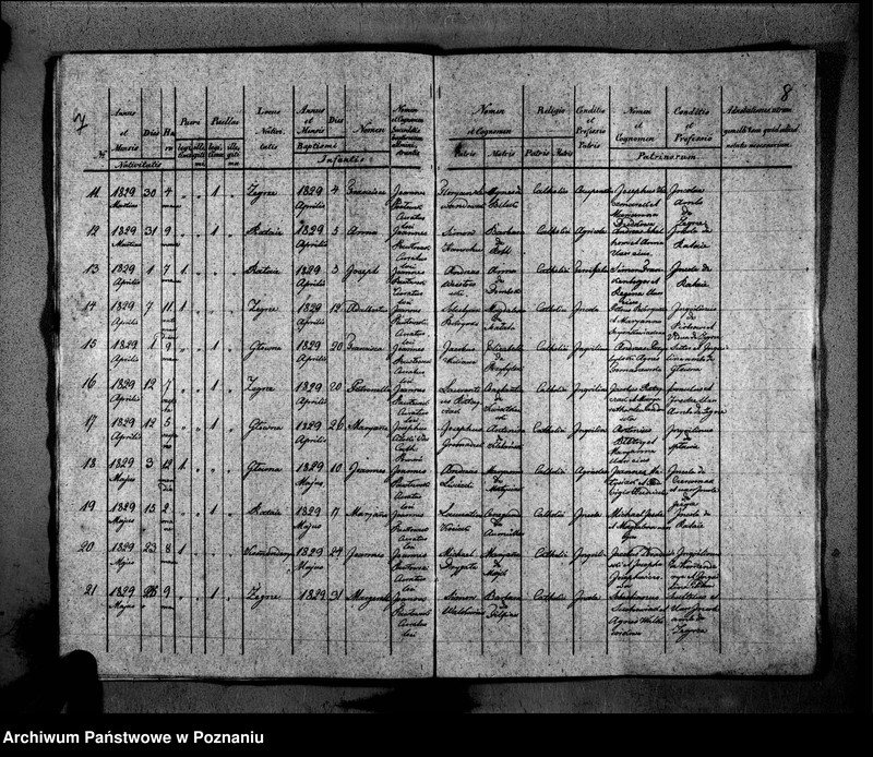 Obraz 8 z jednostki "Duplikat libri baptisatorum, copulatorum, mortuorum"